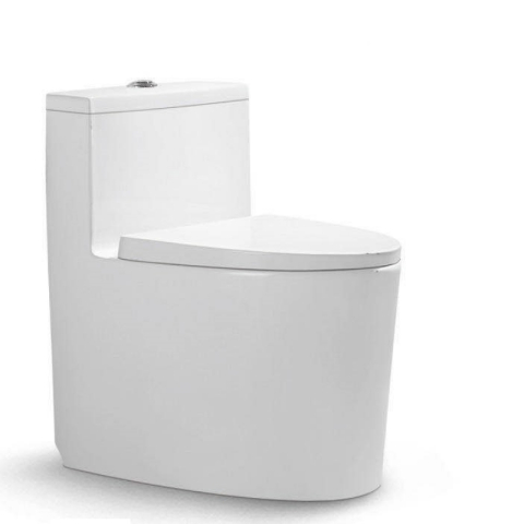 Bệt vệ sinh liền khối W089